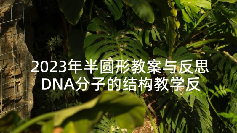 2023年半圆形教案与反思 DNA分子的结构教学反思(汇总5篇)