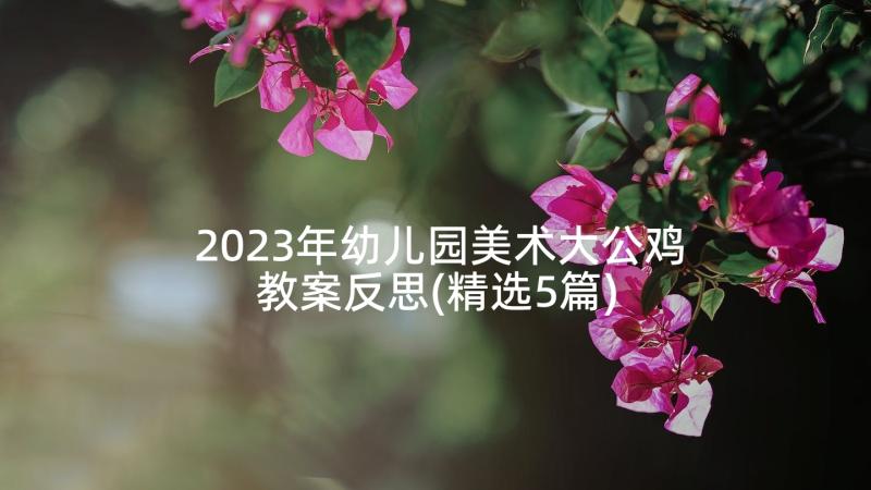 2023年幼儿园美术大公鸡教案反思(精选5篇)