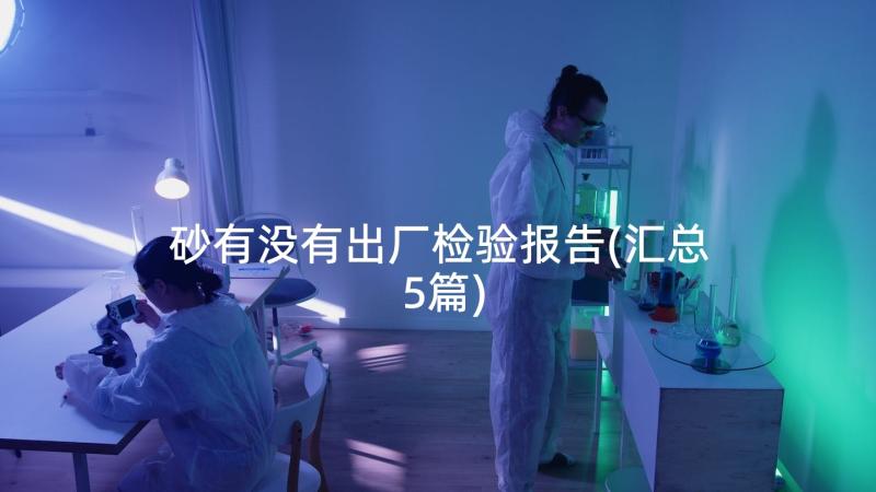 砂有没有出厂检验报告(汇总5篇)