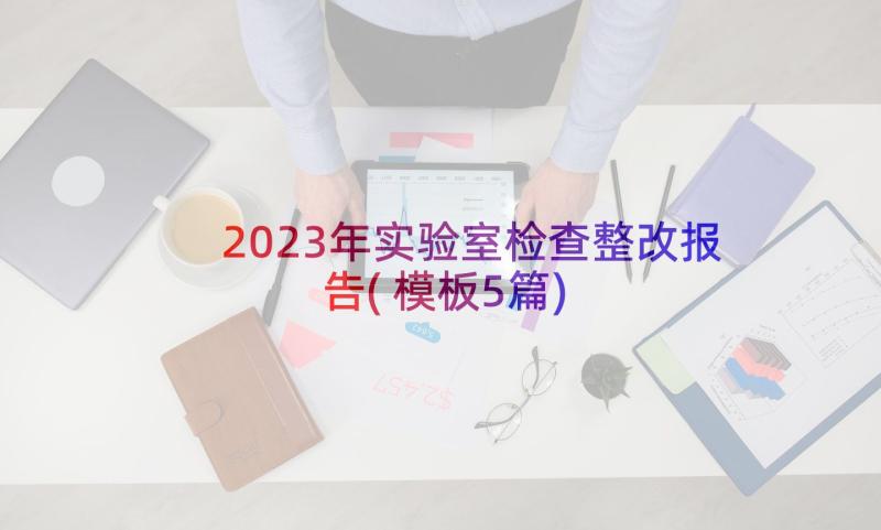 2023年实验室检查整改报告(模板5篇)