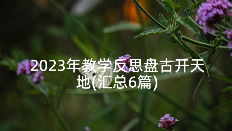 2023年教学反思盘古开天地(汇总6篇)