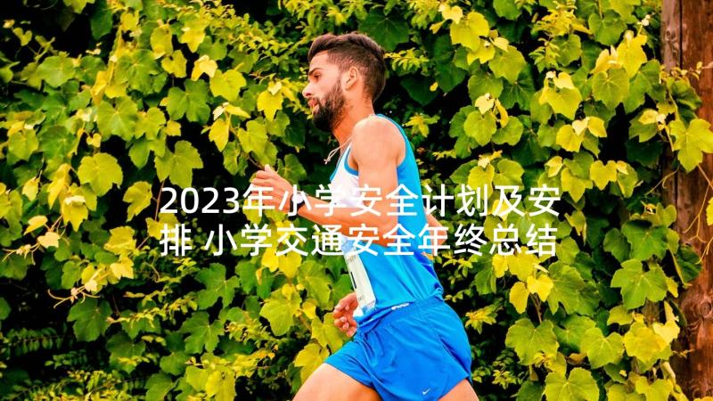 2023年小学安全计划及安排 小学交通安全年终总结以及计划(模板5篇)