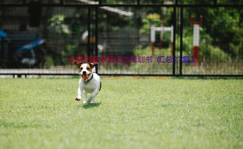 小学生夏令营活动策划书（汇总21篇）