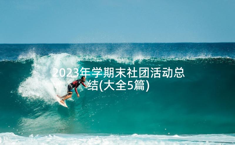 2023年学期末社团活动总结(大全5篇)