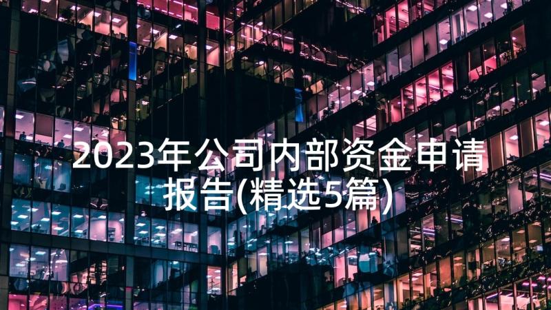 2023年公司内部资金申请报告(精选5篇)