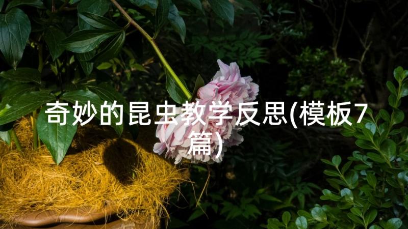 奇妙的昆虫教学反思(模板7篇)