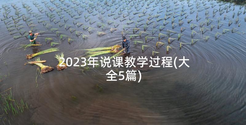 2023年说课教学过程(大全5篇)