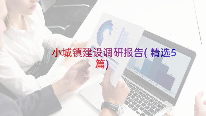 小城镇建设调研报告(精选5篇)