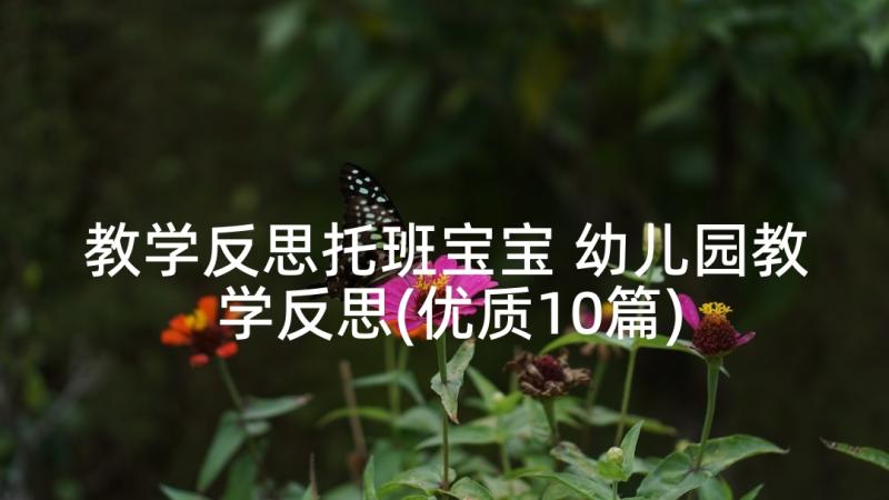 教学反思托班宝宝 幼儿园教学反思(优质10篇)