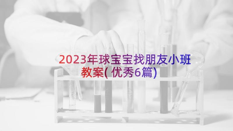 2023年球宝宝找朋友小班教案(优秀6篇)