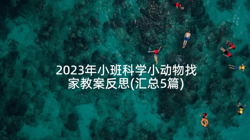 2023年小班科学小动物找家教案反思(汇总5篇)