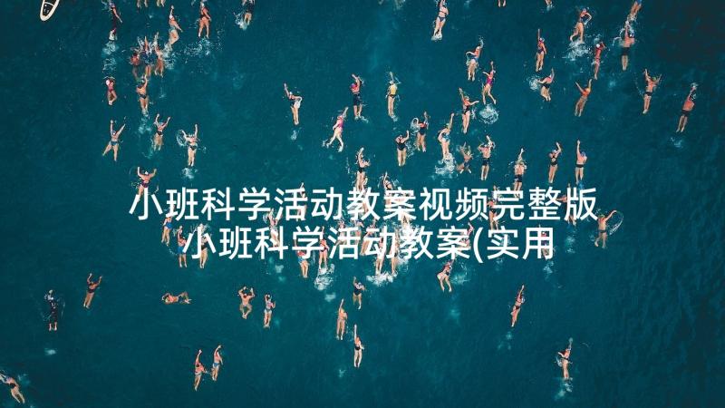 小班科学活动教案视频完整版 小班科学活动教案(实用9篇)