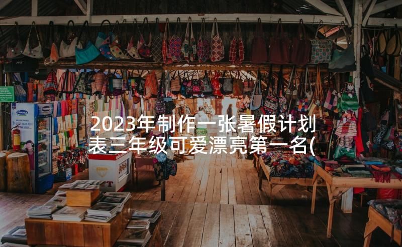 2023年制作一张暑假计划表三年级可爱漂亮第一名(实用5篇)