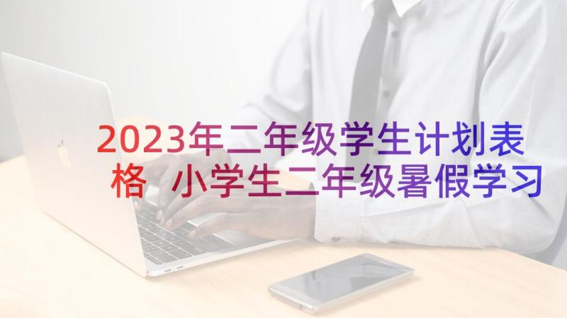 2023年二年级学生计划表格 小学生二年级暑假学习计划表(优秀5篇)