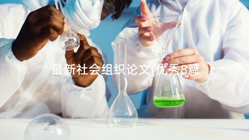 最新社会组织论文(优秀8篇)