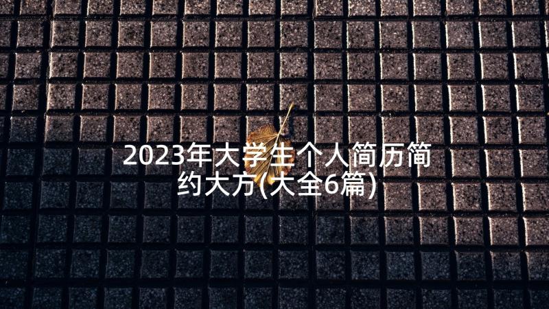 2023年大学生个人简历简约大方(大全6篇)