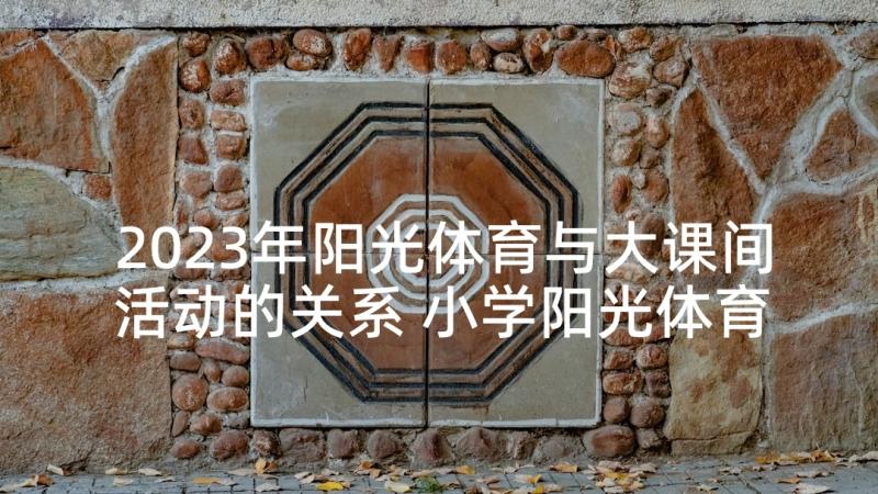 2023年阳光体育与大课间活动的关系 小学阳光体育大课间活动总结(通用7篇)