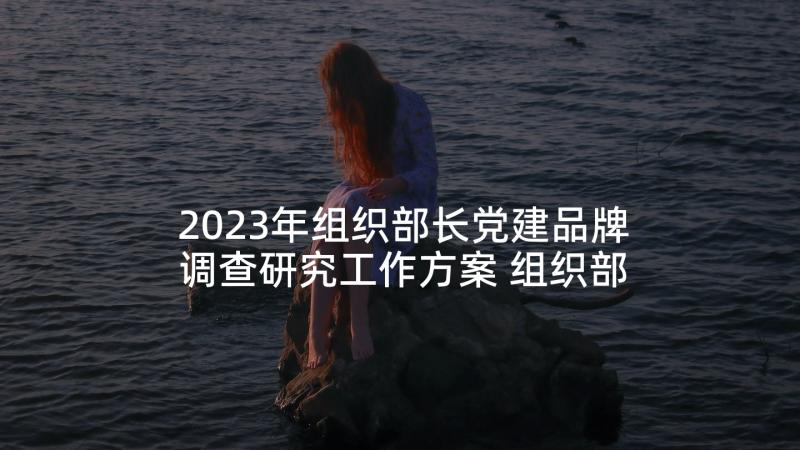 2023年组织部长党建品牌调查研究工作方案 组织部长自荐信(汇总10篇)