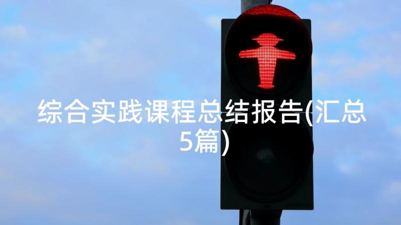 综合实践课程总结报告(汇总5篇)