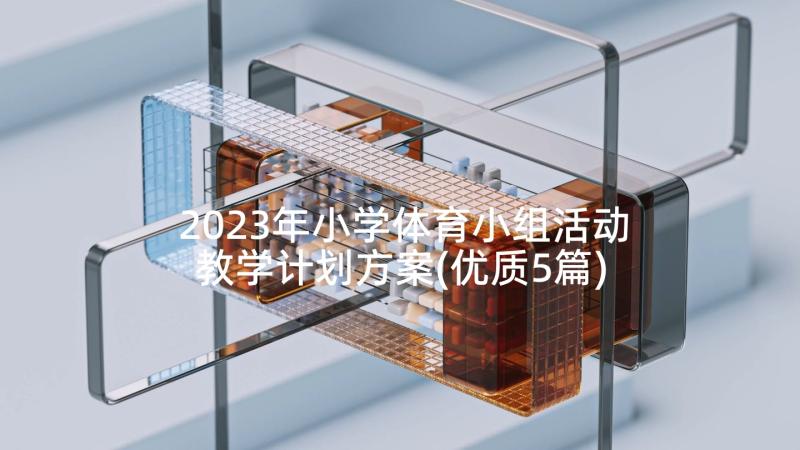 2023年小学体育小组活动教学计划方案(优质5篇)