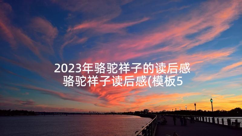 2023年骆驼祥子的读后感 骆驼祥子读后感(模板5篇)