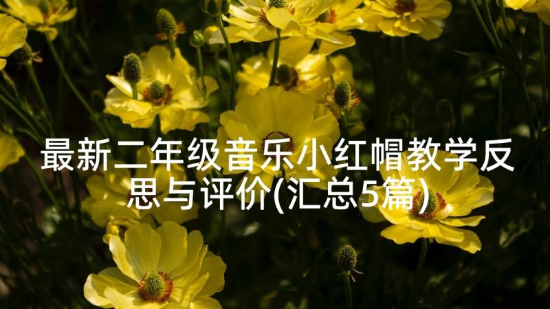 最新二年级音乐小红帽教学反思与评价(汇总5篇)