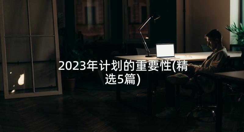 2023年计划的重要性(精选5篇)