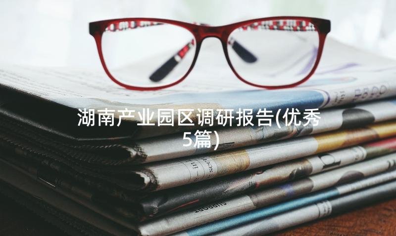 湖南产业园区调研报告(优秀5篇)