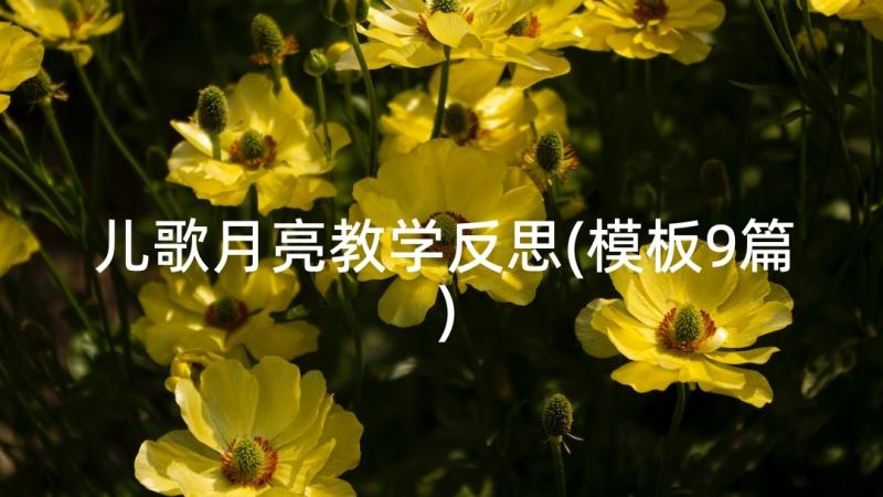 儿歌月亮教学反思(模板9篇)