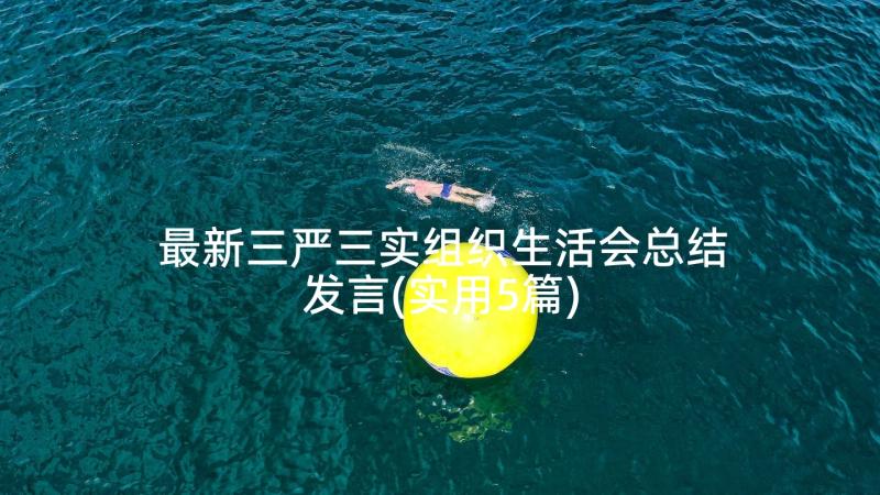 最新三严三实组织生活会总结发言(实用5篇)