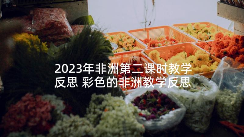 2023年非洲第二课时教学反思 彩色的非洲教学反思(大全5篇)