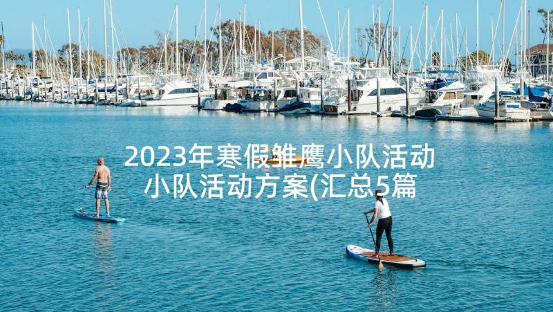 2023年寒假雏鹰小队活动 小队活动方案(汇总5篇)