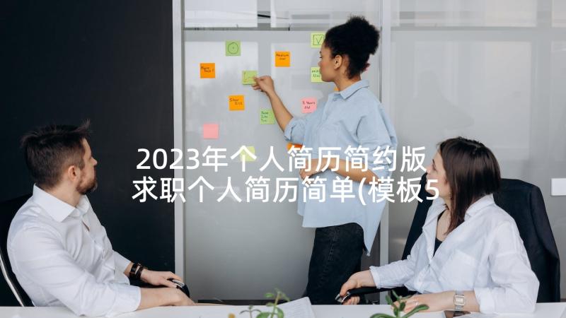 2023年个人简历简约版 求职个人简历简单(模板5篇)