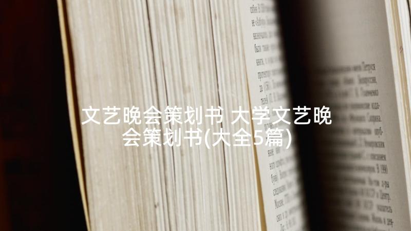 文艺晚会策划书 大学文艺晚会策划书(大全5篇)