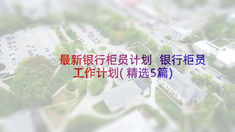 最新银行柜员计划 银行柜员工作计划(精选5篇)