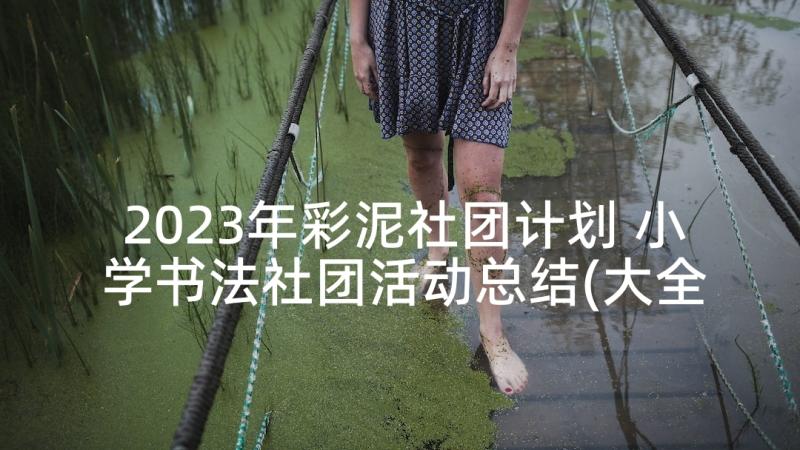 2023年彩泥社团计划 小学书法社团活动总结(大全5篇)