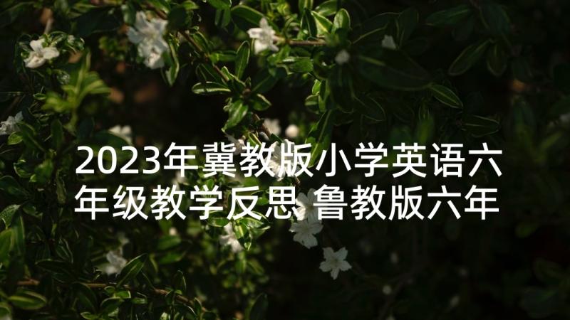 2023年冀教版小学英语六年级教学反思 鲁教版六年级语文上奔落的雪原教学反思(精选5篇)