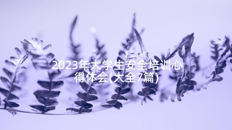 2023年大学生安全培训心得体会(大全7篇)