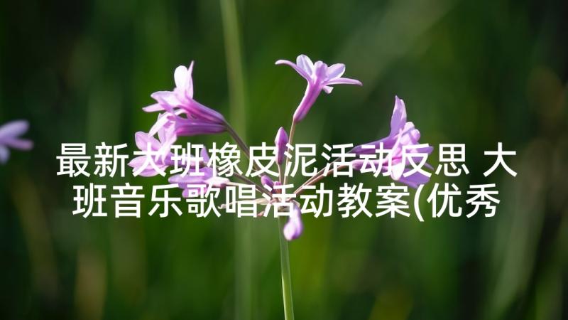 最新大班橡皮泥活动反思 大班音乐歌唱活动教案(优秀9篇)