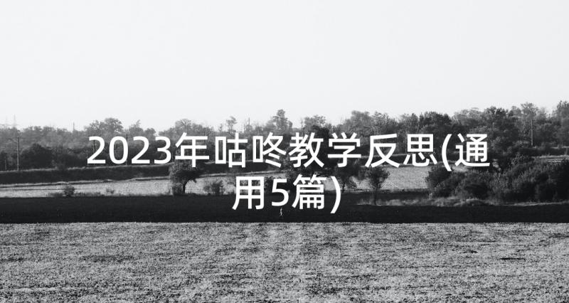 2023年咕咚教学反思(通用5篇)