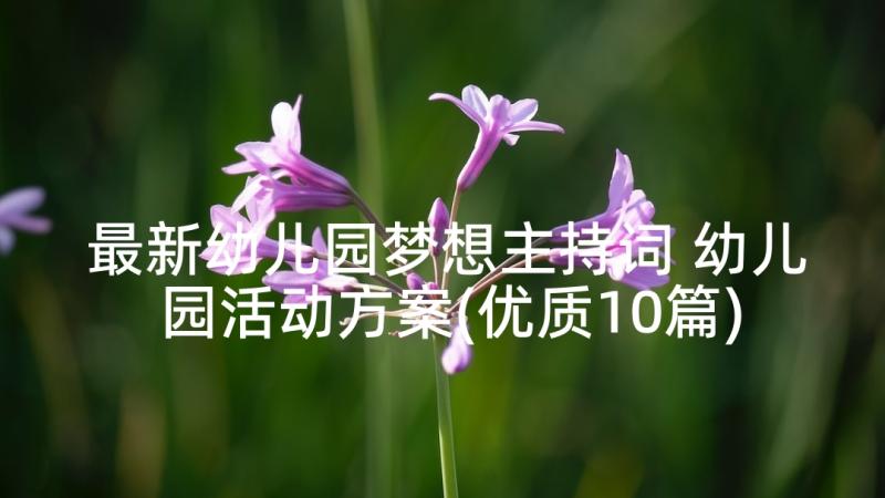 最新幼儿园梦想主持词 幼儿园活动方案(优质10篇)