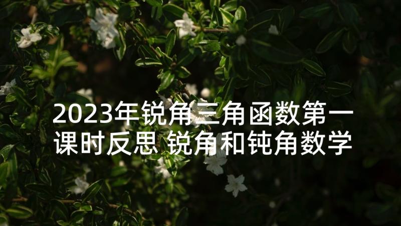 2023年锐角三角函数第一课时反思 锐角和钝角数学教学反思(优秀5篇)