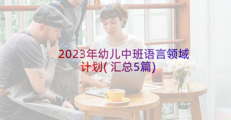 2023年幼儿中班语言领域计划(汇总5篇)