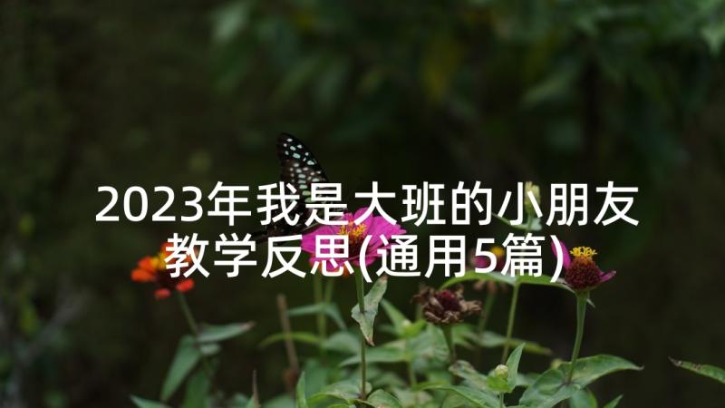 2023年我是大班的小朋友教学反思(通用5篇)