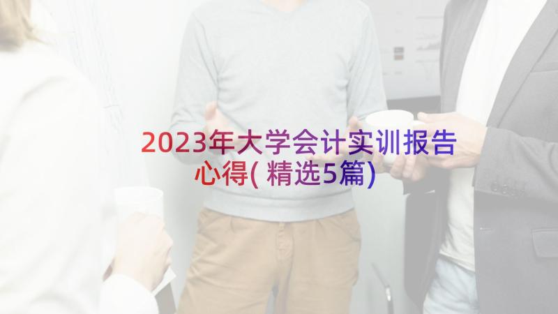 2023年大学会计实训报告心得(精选5篇)