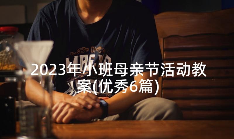 2023年小班母亲节活动教案(优秀6篇)