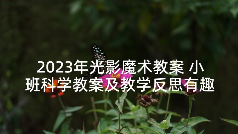 2023年光影魔术教案 小班科学教案及教学反思有趣的魔术瓶(实用5篇)