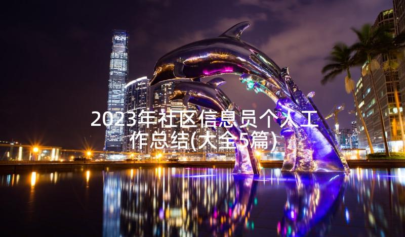 2023年社区信息员个人工作总结(大全5篇)