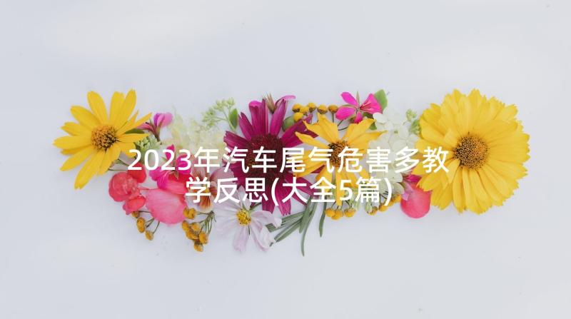 2023年汽车尾气危害多教学反思(大全5篇)