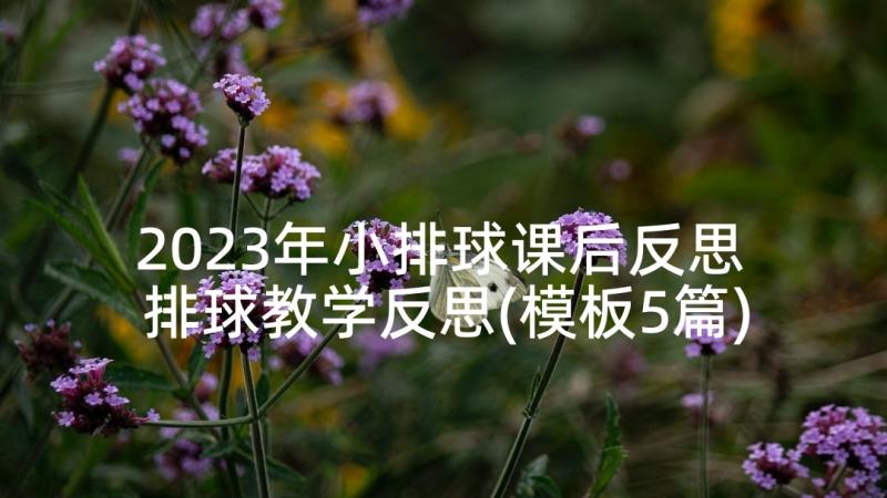 2023年小排球课后反思 排球教学反思(模板5篇)